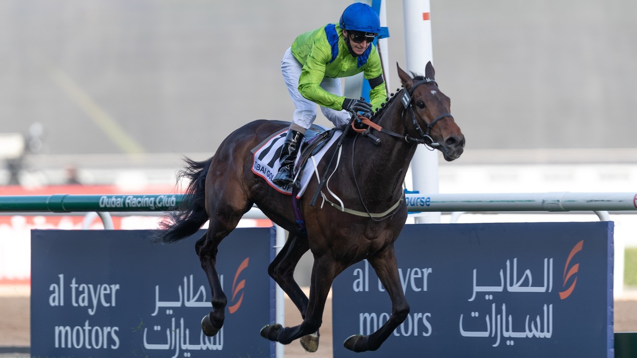 Review: $750,000 Dubai Gold Cup Gr.2 ( Horses, Racecard, ... Image 4